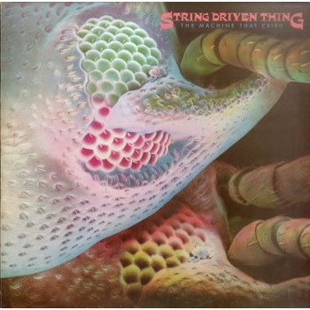 VINYL, String Driven Thing, String Driven Thing ‎– The Machine That Cried (Charisma ‎– RJ-5107) 1St Press ( LP )