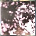 Pink Floyd - Obscured By Clouds  ( LP )
